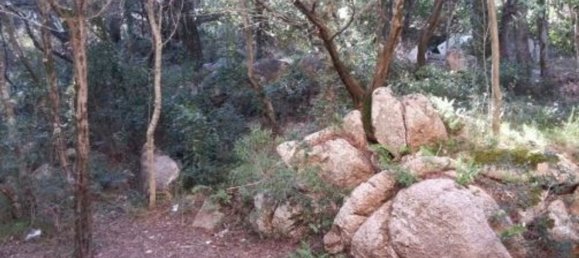 Apartamento de 2 divisões em Arzachena, Italy N.º 116056 14