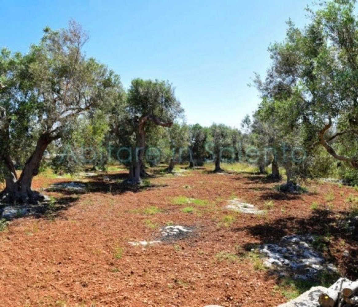 Grundstück in Castrignano del Capo, Italy 3800m², Nr. 78792