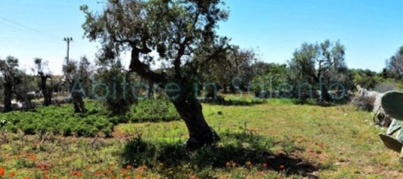 Grundstück in Castrignano del Capo, Italy 3800m², Nr. 78792 8