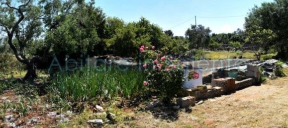 Grundstück in Castrignano del Capo, Italy 3800m², Nr. 78792 5