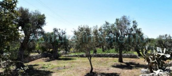 Grundstück in Castrignano del Capo, Italy 3800m², Nr. 78792 7