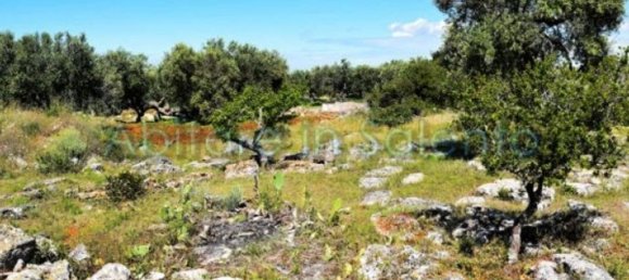 Grundstück in Castrignano del Capo, Italy 3800m², Nr. 78792 6