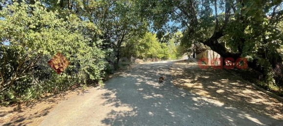 Дом с 5 комнатами в Ананьи, Италия № 66430 12