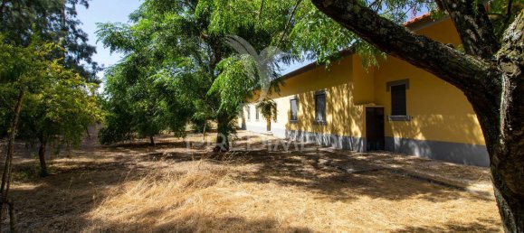 6 bedrooms House in Palmela, Portugal No. 124725 11