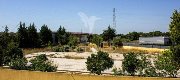 6 bedrooms House in Palmela, Portugal No. 124725 14