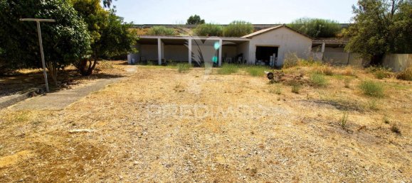 6 bedrooms House in Palmela, Portugal No. 124725 9