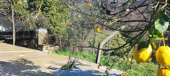 6 chambres Maison à Cabril, Portugal No. 185524 6