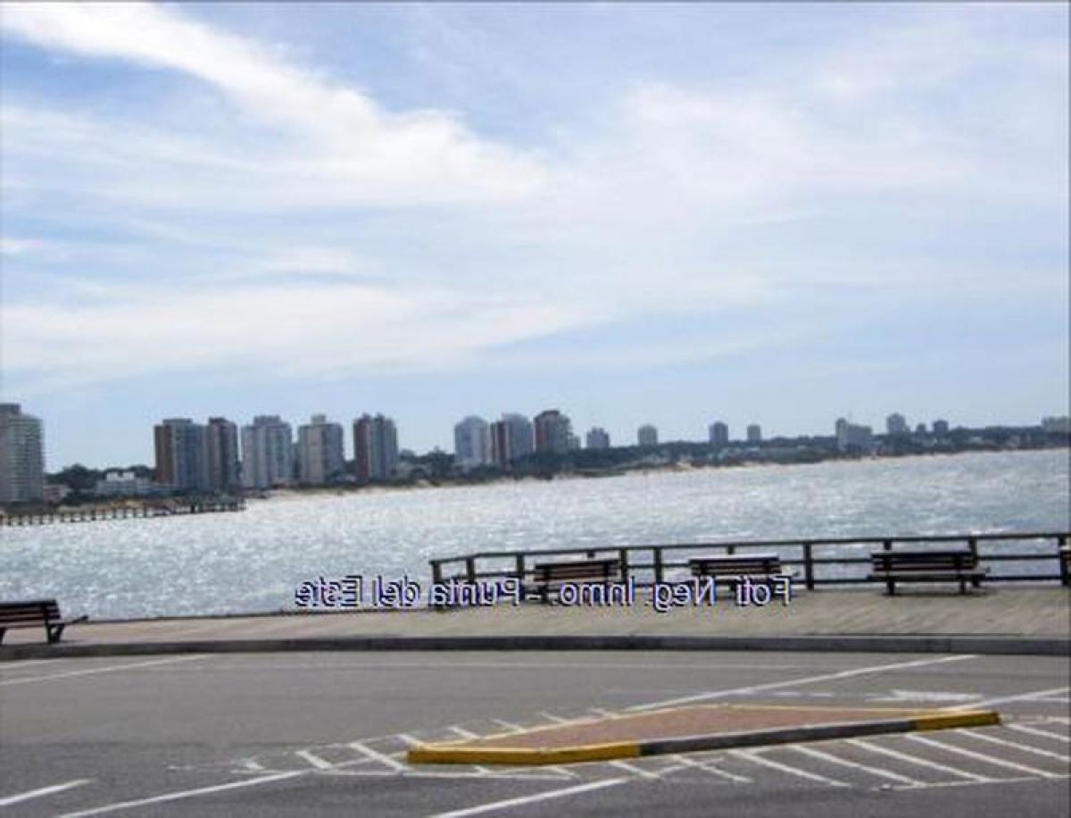 3 Schlafzimmer Wohnung in Punta del Este, Uruguay, Nr. 4102