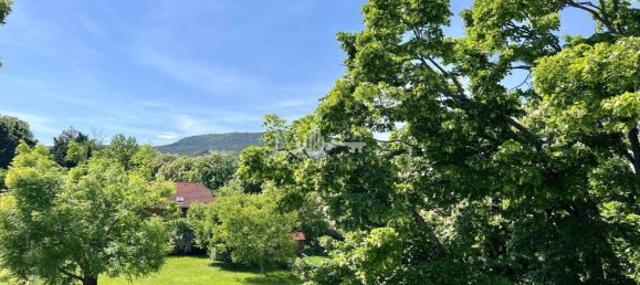 11 rooms Villa in Bad Voslau, Austria No. 206350 16
