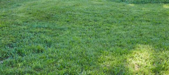 قطعة أرض في Starnberg, Germany رقم 320869 2