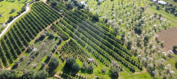 9 Schlafzimmer Haus in Olhao, Portugal, Nr. 180365 36