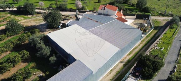 9 Schlafzimmer Haus in Olhao, Portugal, Nr. 180365 39