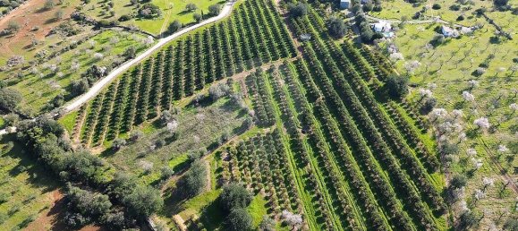 9 Schlafzimmer Haus in Olhao, Portugal, Nr. 180365 37
