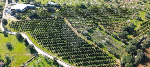 9 Schlafzimmer Haus in Olhao, Portugal, Nr. 180365 35