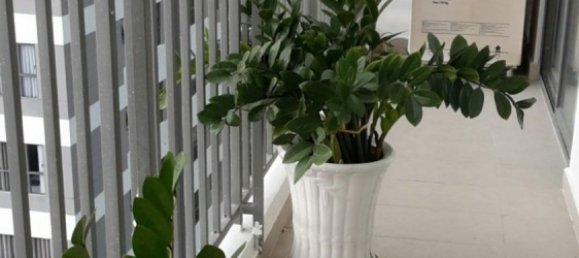 3 bedrooms Apartment in Thu Duc, Vietnam No. 17292 5