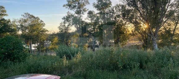 5 chambres Maison à Corte do Pinto, Portugal No. 40479 25