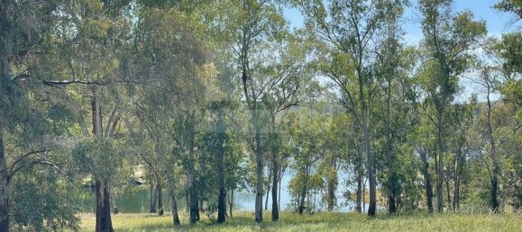 5 chambres Maison à Corte do Pinto, Portugal No. 40479 27