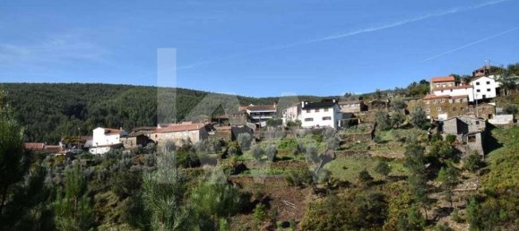 3 bedrooms House in Alvares, Portugal No. 78511 5