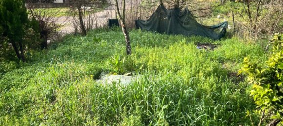Casa de 3 habitaciónes en Santi Cosma e Damiano, Italy No. 75568 5