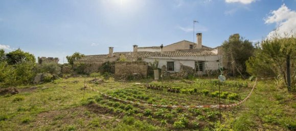 10 bedrooms Land in Menorca, Spain No. 85193 2