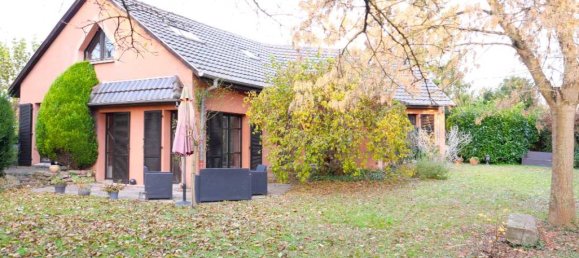 4 Schlafzimmer Villa in Muntzenheim, France, Nr. 41179 6