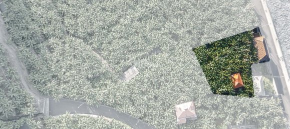 2 bedrooms Villa in Ponta do Sol, Portugal No. 98478 3