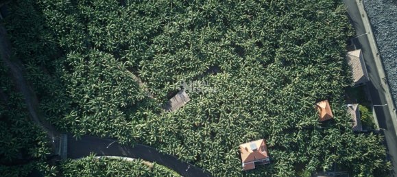 2 bedrooms Villa in Ponta do Sol, Portugal No. 98478 16