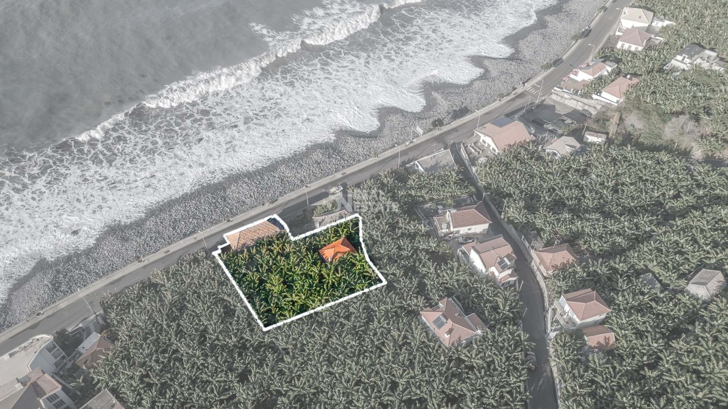 2 bedrooms Villa in Ponta do Sol, Portugal No. 98478