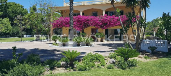 7 bedrooms House in Quarteira, Portugal No. 114435 3