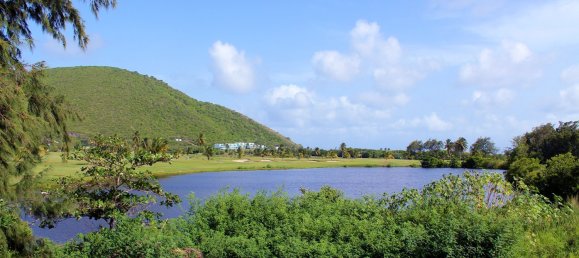 Café/restaurante de 5 habitaciónes en Frigate Bay, Saint Kitts and Nevis No. 115 4