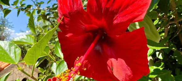 2 bedrooms Apartment in Lloret de Mar, Spain No. 186011 35