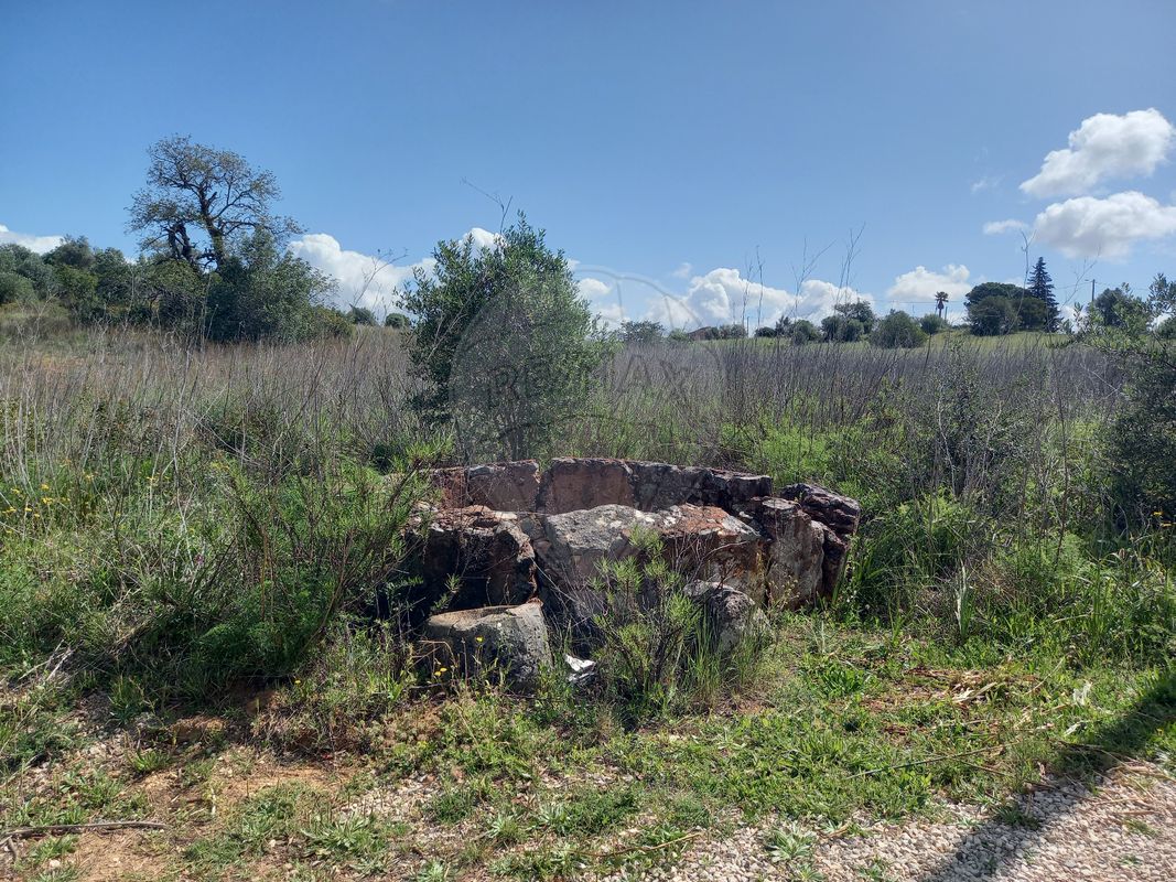  قطعة أرض في Silves, Portugal 6330متر مربع رقم 41790