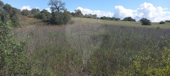  قطعة أرض في Silves, Portugal 6330متر مربع رقم 41790 4