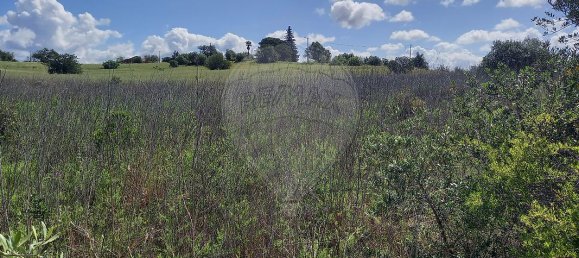  قطعة أرض في Silves, Portugal 6330متر مربع رقم 41790 2