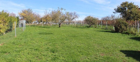 Дом с 3 комнатами в Рехниц, Австрия № 246710 20