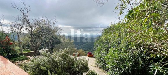 4-Zimmer Haus in Castiglione della Pescaia, Italy, Nr. 218554 5