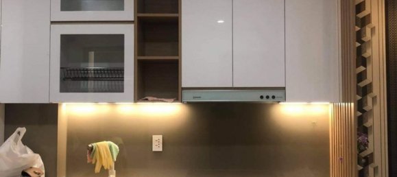 1 bedroom Apartment in Thu Duc, Vietnam No. 16320 10