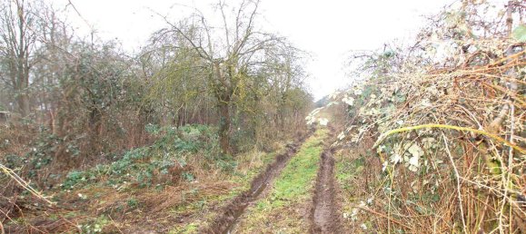 Quinta de 5 divisões em Gustrow, Germany N.º 132132 13