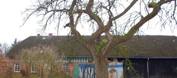 Quinta de 5 divisões em Gustrow, Germany N.º 132132 4