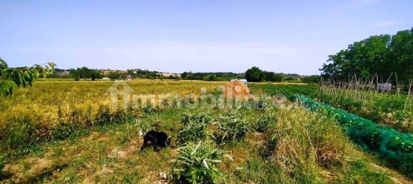 3 bedrooms Villa in Rimini, Italy No. 320445 47