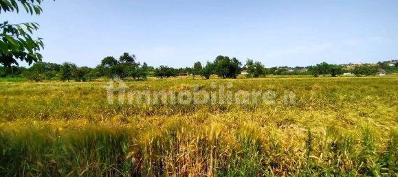 3 bedrooms Villa in Rimini, Italy No. 320445 14