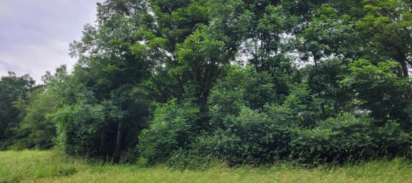 Terreno em Wunsiedel, Germany 3979 m² N.º 3832 7