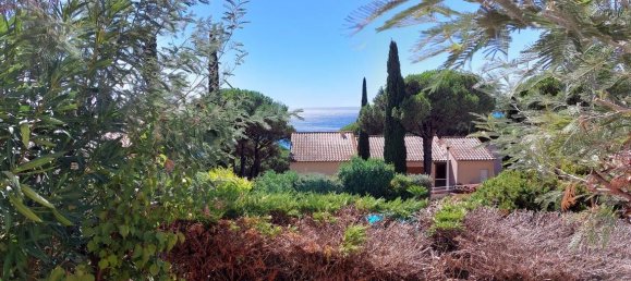 Studio in Sainte-Maxime, France, Nr. 319253 11