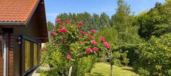 3 غرف نوم منزل في Vorpommern-Rugen, Germany رقم 217927 4