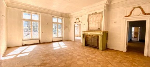 Villa de 10 dormitorios en Saale-Orla, Germany No. 283829 11