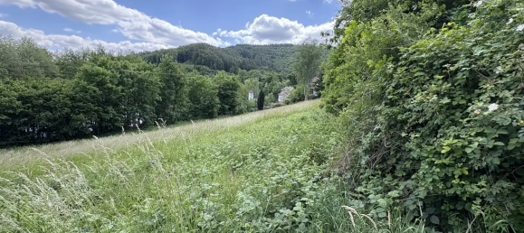  قطعة أرض في Sudwestpfalz, Germany رقم 313496 5