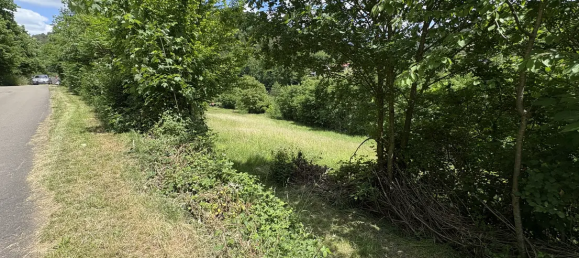  قطعة أرض في Sudwestpfalz, Germany رقم 313496 6