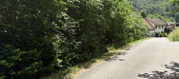  قطعة أرض في Sudwestpfalz, Germany رقم 313496 8