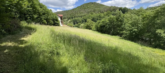  قطعة أرض في Sudwestpfalz, Germany رقم 313496 2