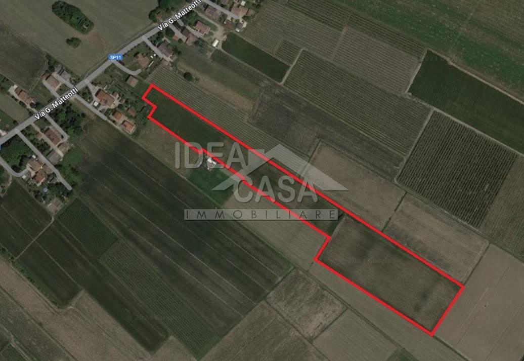 40500m² Land in San Possidonio, Italy No. 115168